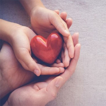 Two hands holding a red heart sculpture, symbolizing care and compassion in a nurturing gesture.